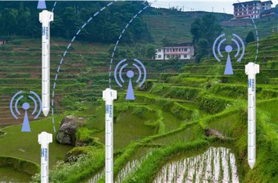 RS485 ดิจิตอล 4G GPRS WiFi Lora Lorawan 2 ใน 1 ความชื้นในดินและอุณหภูมิหลายชั้นแบบหลายชั้นและเซ็นเซอร์อุณหภูมิ